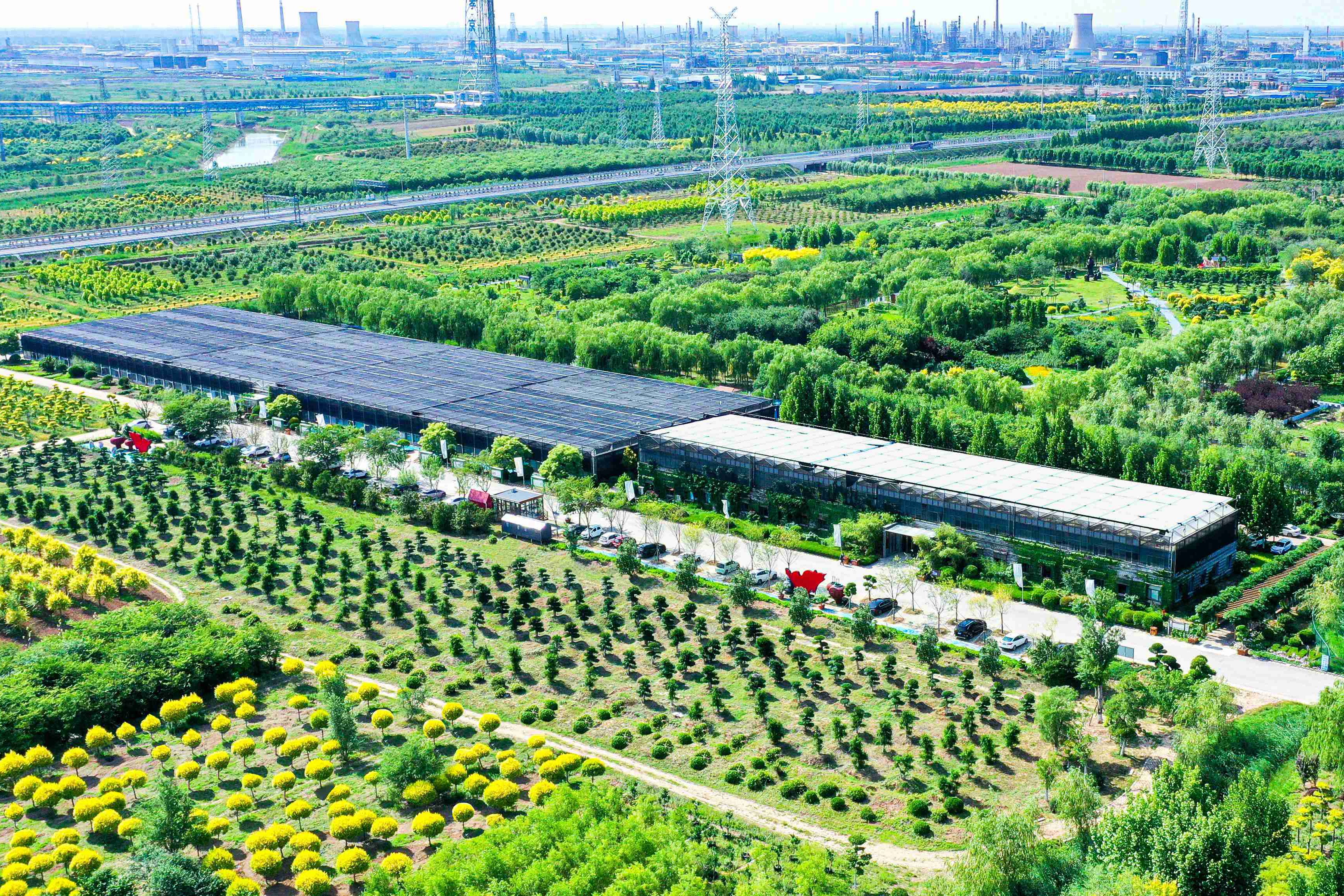 博華休閑農(nóng)業(yè)精品園區(qū)入選“山東省休閑農(nóng)業(yè)精品園區(qū)典型案例”