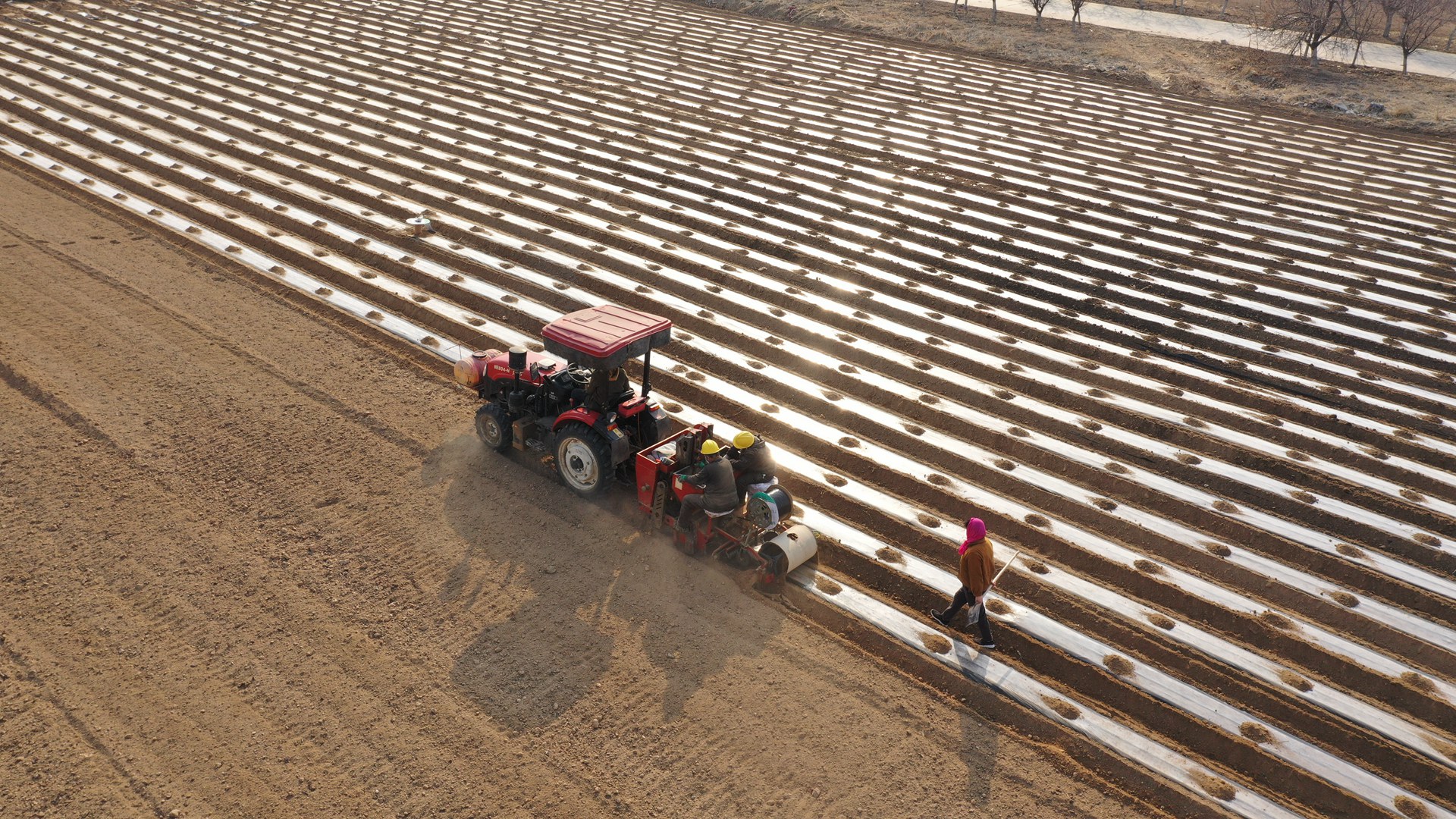 博華生態(tài)農(nóng)業(yè)春日農(nóng)忙不停歇，綠色發(fā)展正當(dāng)時